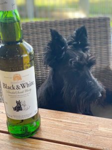 Black & White Whisky