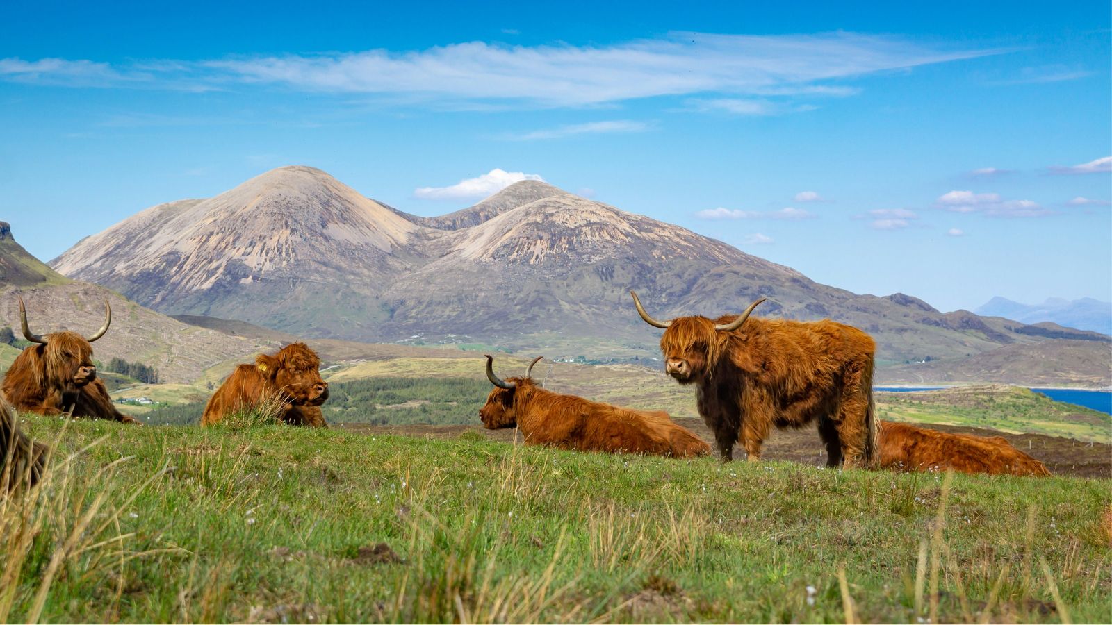 Best highland whisky header