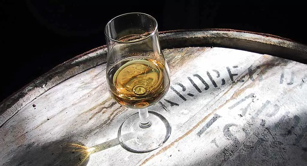 Elijah Craig 12 yo vs Evan Williams Single Barrel side by side comparison 